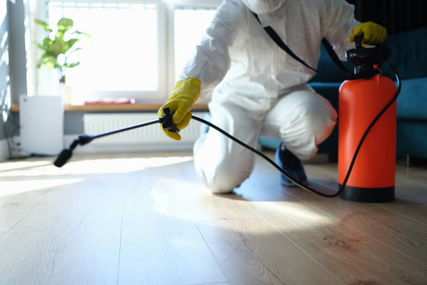 Reliable Hoarding Cleanup contractor in Quincy, IL by Trauma Clean Pros